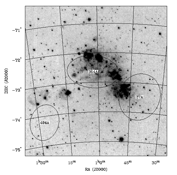 Neutral Hydrogen Shells